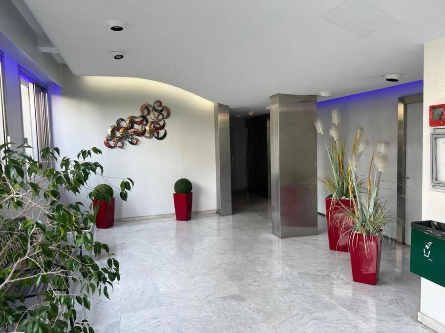 Centre De Apartment Cannes
